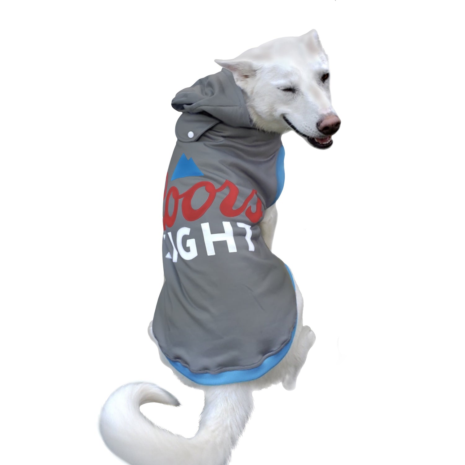 Dog Hoodie