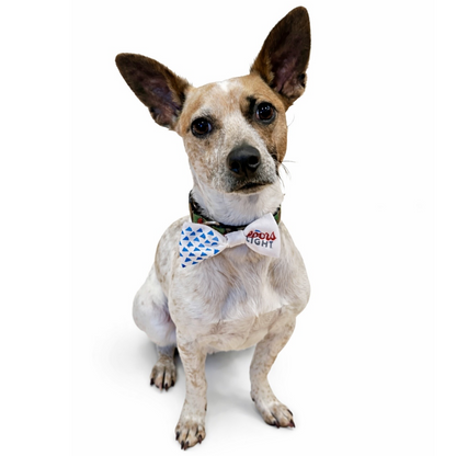 Pet Bow Tie